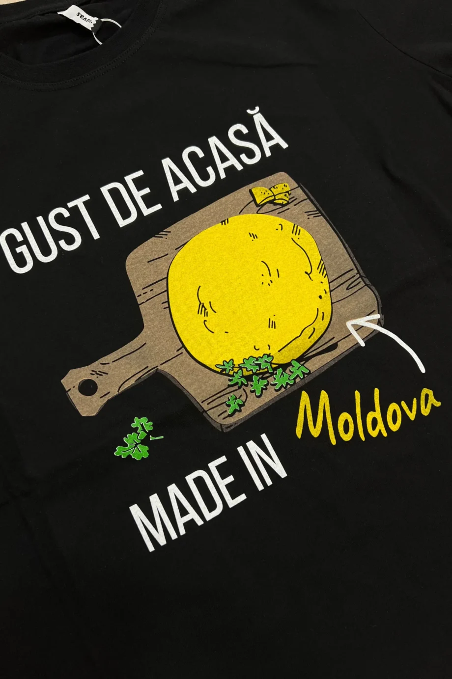 Футболка Moldova
